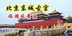 鸡巴操骚逼喷水高潮视频中国北京-东城古宫旅游风景区